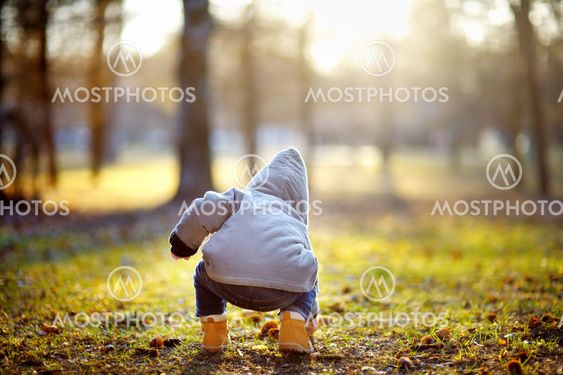 Toddler boy playing outdoors