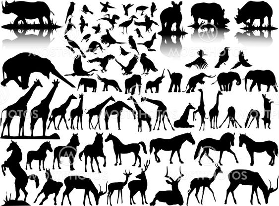 vector silhouettes of wildlife