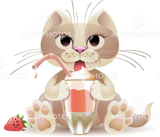 Cat Cocktail