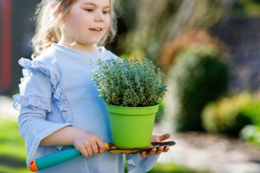 Adorable little toddler girl holding garden shovel with...