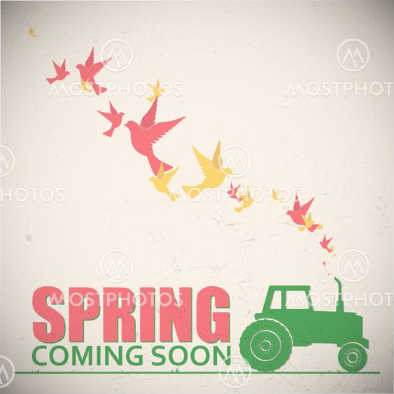 Abstract vector illustration of tractor and birds.