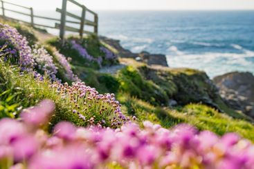 Rough and rocky shore at Malin Head, Ireland's...