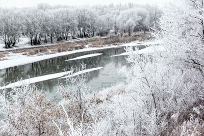 Winter landscape of a white snowy shore of a river....