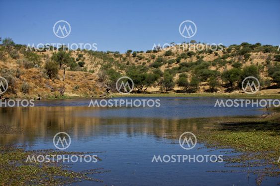 waterhole at daan viljoen game park namibia africa