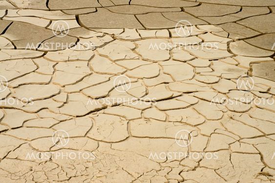 Arid