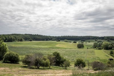 green hills and beautiful view over the danish landscape
