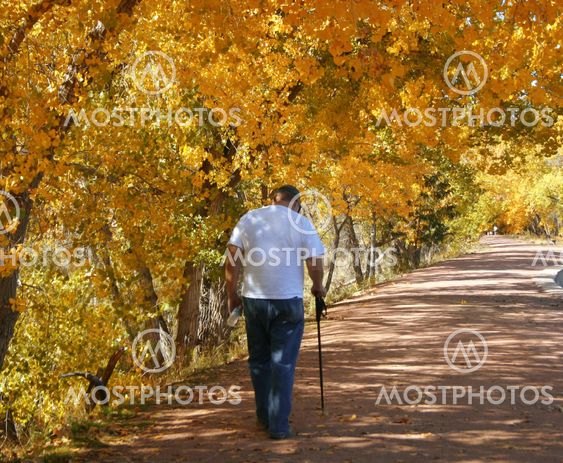 Autumn Walk
