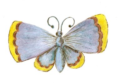 The butterfly is blue with the yellow ends of the wings....