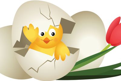 Easter egg chicken and tulip_1