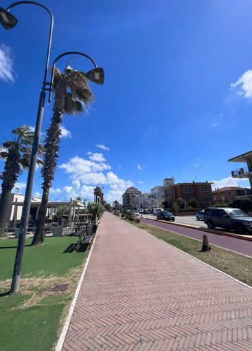 Sunny seaside promenade with palm trees and street...