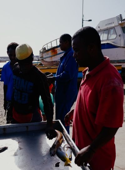 local fisherman bringing in their catch during the...