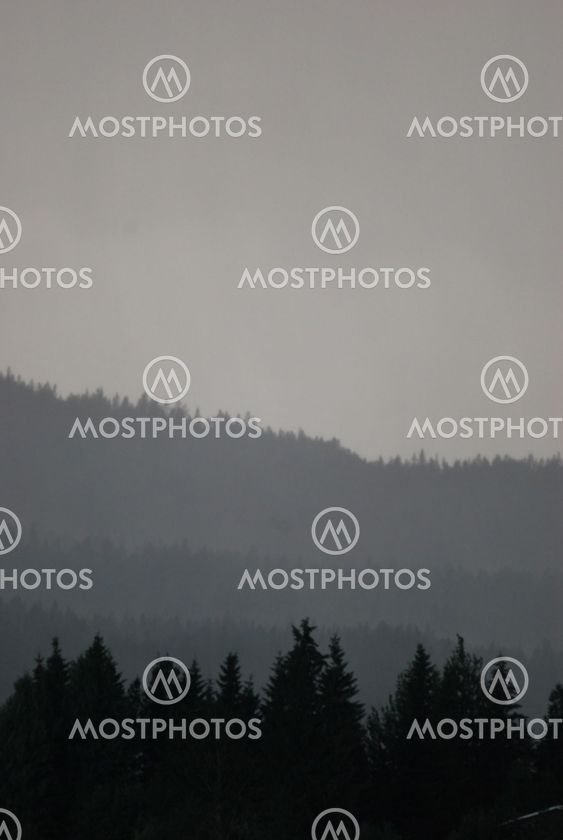 hills,skogen