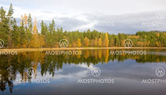 landscape near Nesbyen, Norway