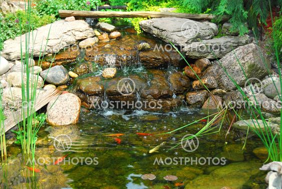 Pond