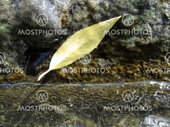 above the surface