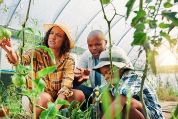 Gardening, parents and boy with vegetables, help and...