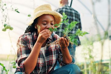 Woman, smell plants and farming in greenhouse with...