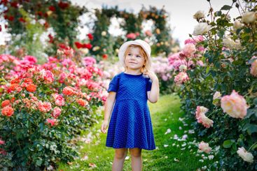 Portrait of little toddler girl in blossoming rose...