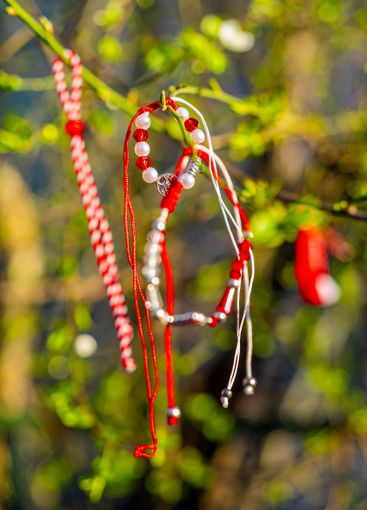 Traditional handmade martenitsa hanging on blossoming...