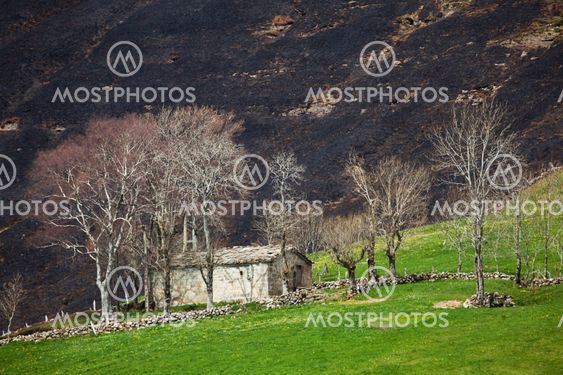 Vega del Pas, Cantabria, Spain
