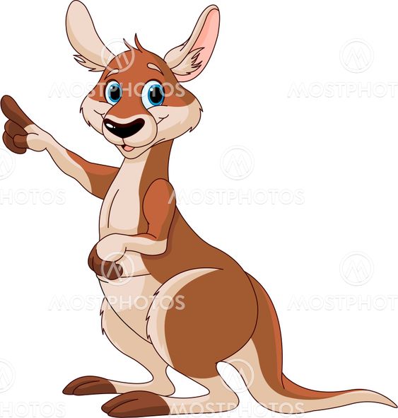 Cartoon Kangaroo