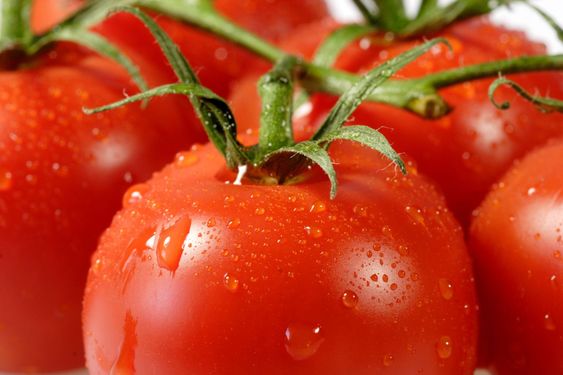 Close up from tomatoes