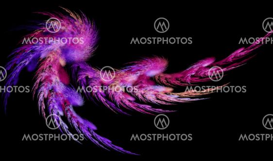 Purple abstract feather