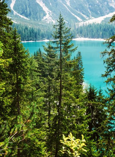 The Pragser Wildsee at daylight