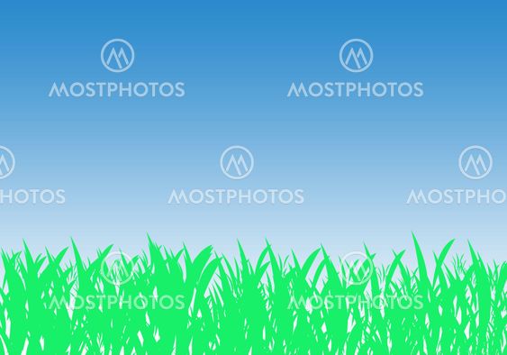 Green grass and blue sky
