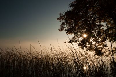 Moody morning at lakeside