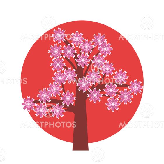 Japanese cherry tree