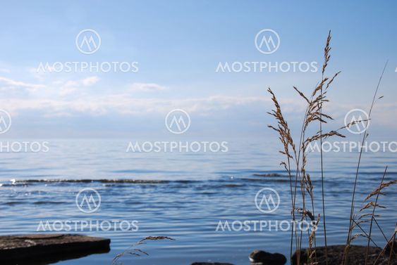Grass by blue water