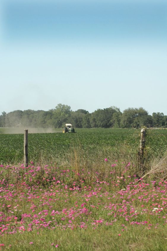 Tractor_Field