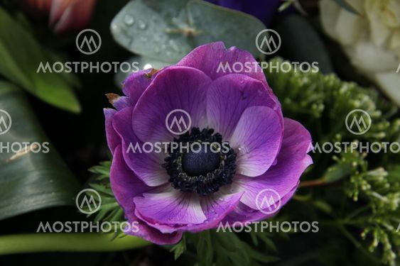 Anemones in bridal arrangement
