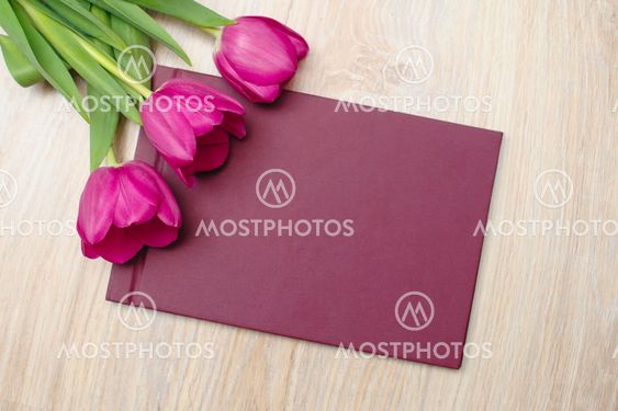 Three purple tulips and space for text