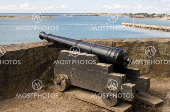 Gamle Cannon