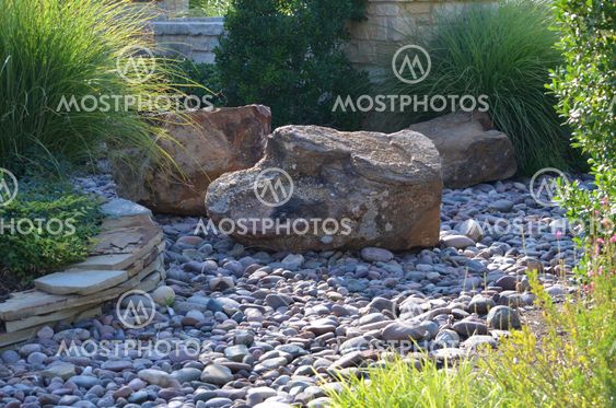 The Dry Creek Bed