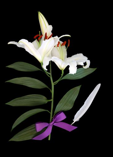 White Lily Flower and Feather Symbols for Funeral...