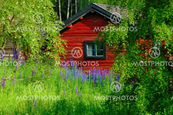 Red cottage in midsommarskrud