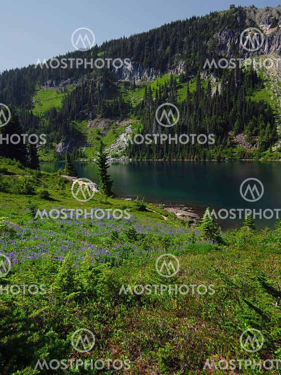 Mountain Landscape