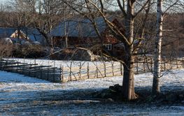 Swedish farm in winter