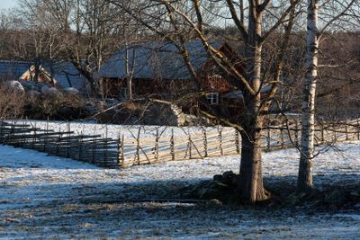 Swedish farm in winter