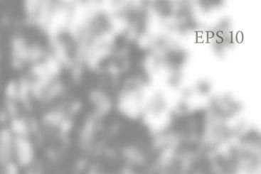 Transparent natural plant shadow. Light effect overlay....