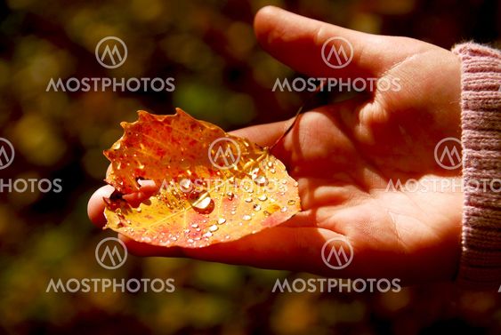 Hand fall leaf