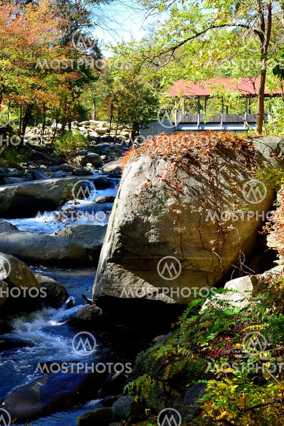 Covered Bridge #2