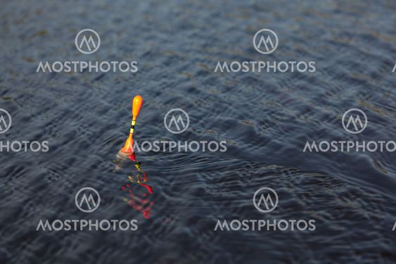 Fishing Bobber on the water