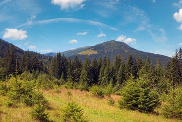 Summer mountain view