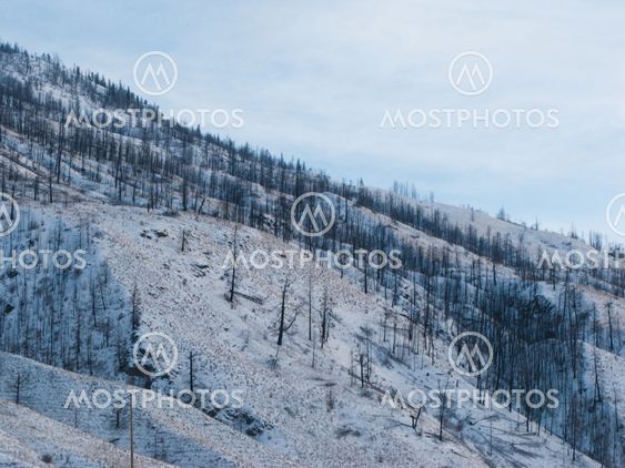 Snowy hillside in Kamloops BC