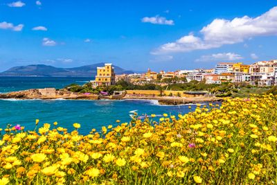 Mediterranean seacoast in Alghero city, Sardinia, Italy