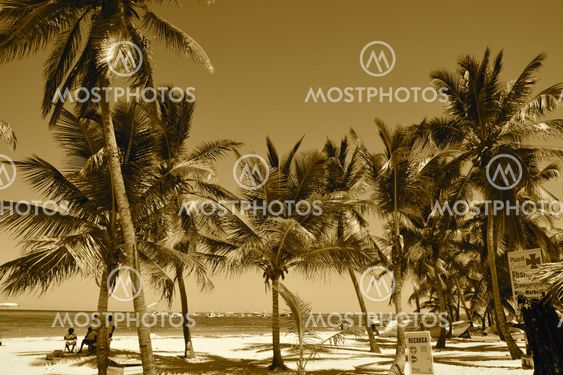 Bavaro beach, Punta Cana